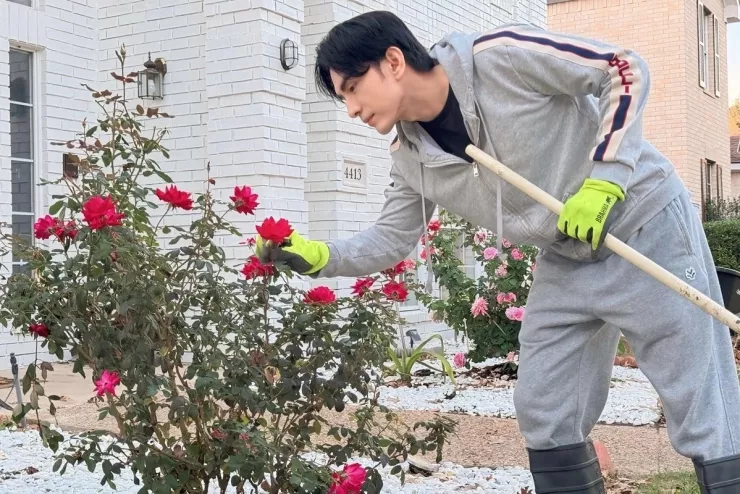 Hàng chục khóm hồng khoe sắc trong biệt thự của Đan Trường ở Mỹ - 6