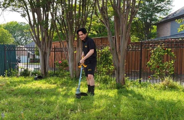 Hàng chục khóm hồng khoe sắc trong biệt thự của Đan Trường ở Mỹ - 7