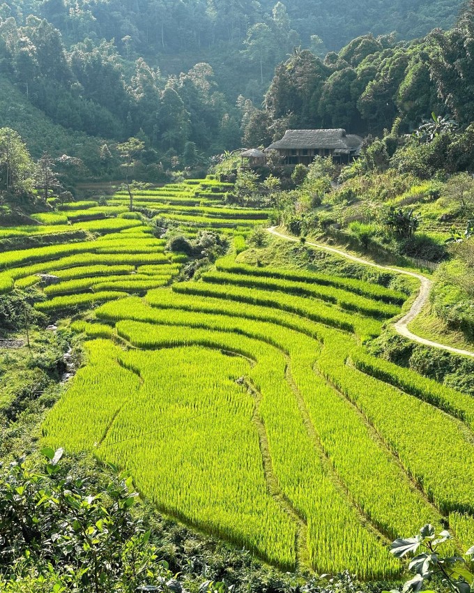 Bản Liền ghi điểm bởi khung cảnh yên bình của đồi trà xanh mát, ruộng bậc thang ngút tầm mắt cùng sự giản dị, đôn hậu của người dân bản địa. Ảnh: kiara.yuhe