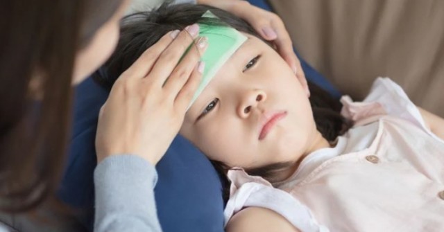 Tại sao bù nước khi sốt và vận động cần "chiến thuật" khác biệt?