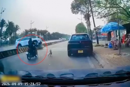Clip: Tránh chó chạy ra đường, xe máy bị ô tô lao qua dải phân cách đâm trúng