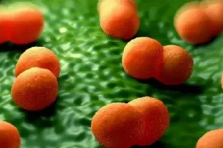 Cà Mau báo cáo 3 người nghi mắc não mô cầu,1 trường hợp đã tử vong