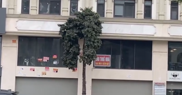 Hà Nội: Nhà mặt phố tại phường Dương Nội rao bán rầm rộ tháng 4/2026