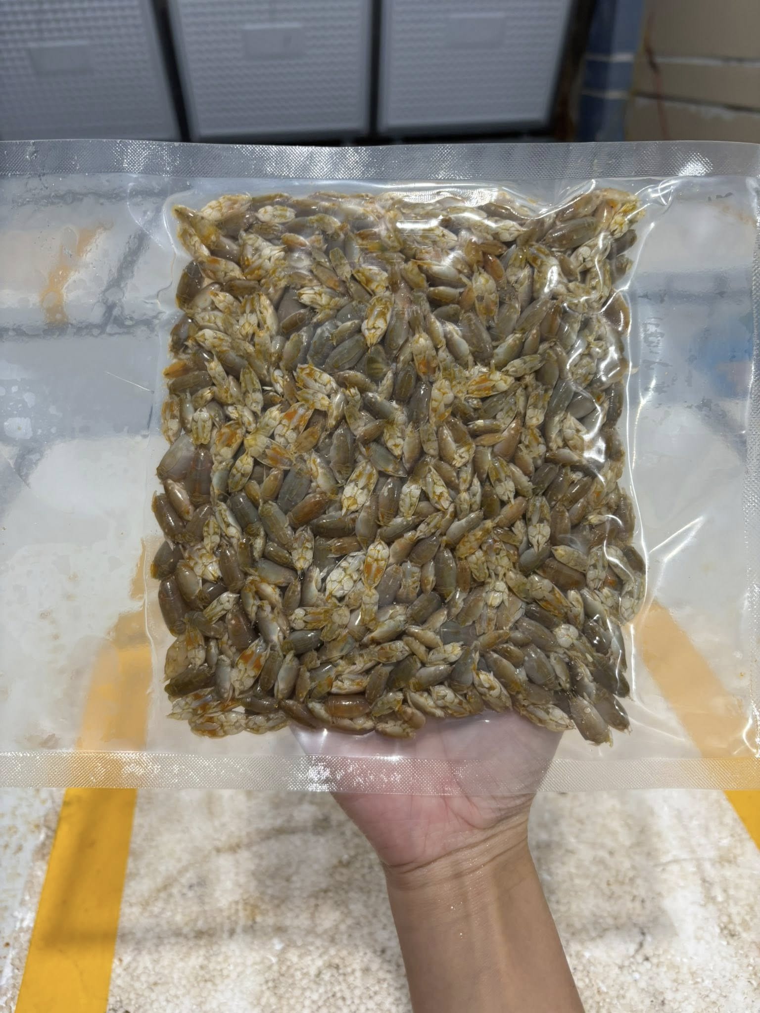 Ở Phú Quốc, bò lui được bán với giá đắt ngang thịt bò, dao động từ 220.000 – 250.000 đồng/kg, tùy thời điểm. Ảnh: Nguyễn Tuyền