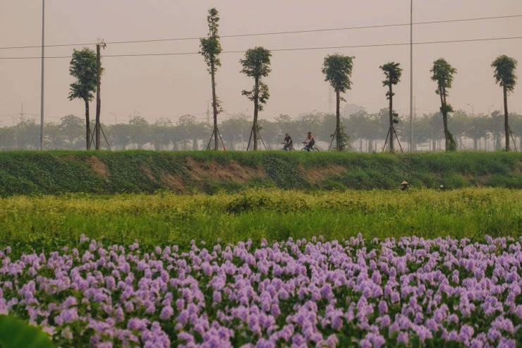 Điểm đến nằm sát đường lớn, du khách hãy chú ý quan sát để đảm bảo an toàn, không xả bừa bãi. Ảnh: Tuyên Parafu