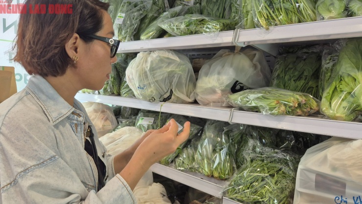 Nhiều loại rau cho món Âu