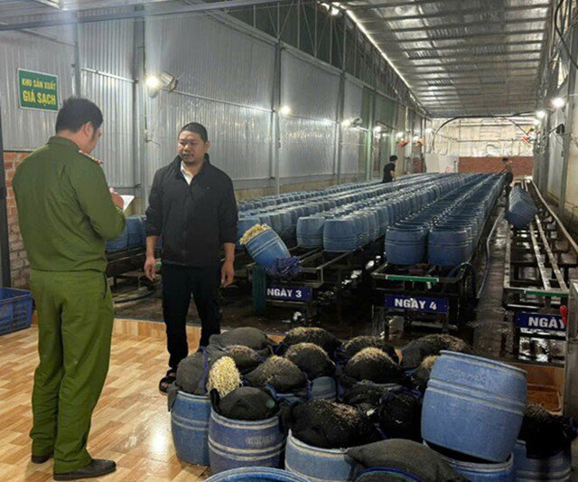 Loại rau rẻ bèo bổ xương lại tốt cho tim mạch, bán đầy chợ Việt nhưng rất dễ nhiễm hóa chất nếu không biết phân biệt - 3