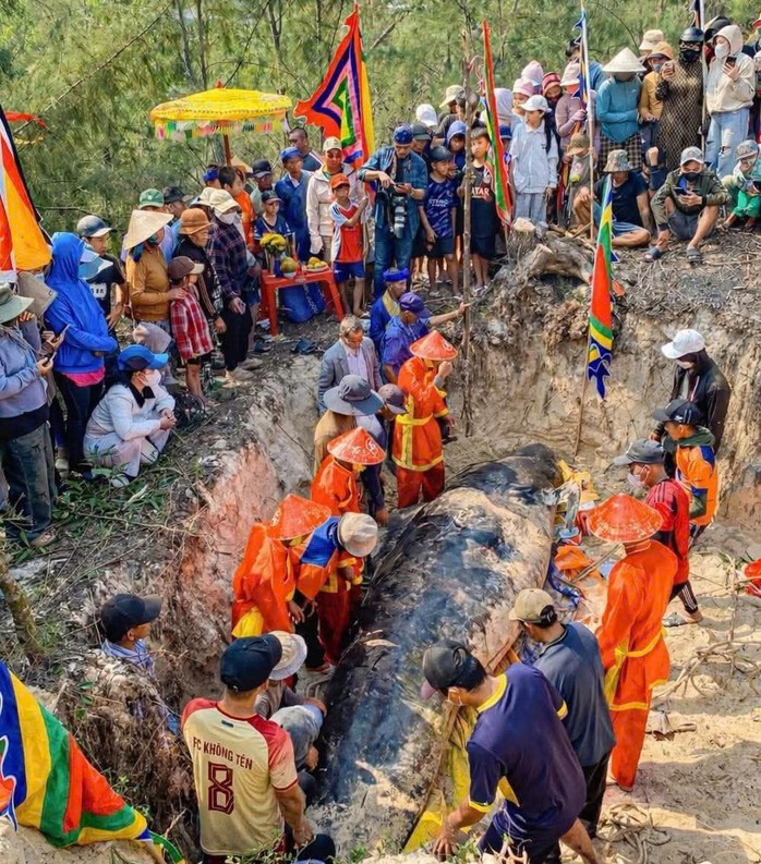 Trước đó, người dân đã chôn cất một con cá voi nặng khoảng 2 tấn dạt vào bờ. Ảnh: Xuân Thịnh