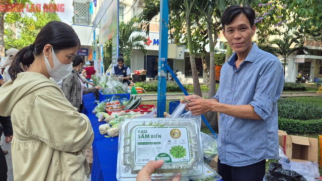 Nhiều người lần đầu thấy rau sâm biển