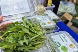 Bất ngờ về loại rau 350.000 đồng/kg vẫn được người ở TP HCM xem là “rẻ”