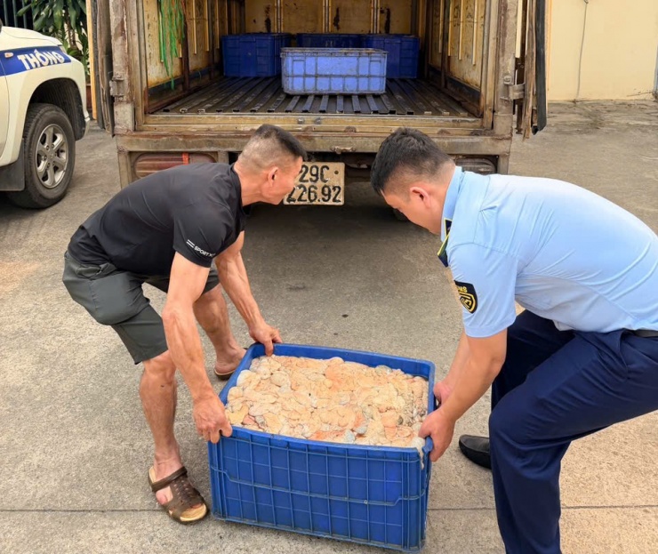 Hơn nửa tấn lòng lợn bốc mùi hôi thối được lực lượng chức năng phát hiện trong xe ô tô tải khi đang trên đường mang đi tiêu thụ.