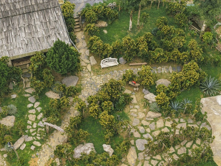 Vườn xương rồng cổ 5.000 m2 nở rộ ở Mộc Châu - 1