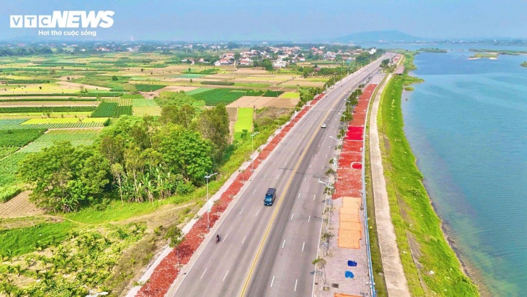 Giá ớt rớt thê thảm, nông dân Quảng Ngãi điêu đứng - 9