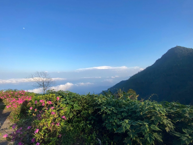 Khung cảnh ở Vườn Quốc gia Ba Vì mùa hoa đỗ quyên tháng 3 khiến vị khách Hà Nội say mê, tới săn mây 4 lần chưa chán. Ảnh: Nguyễn Thị Thảo Hương