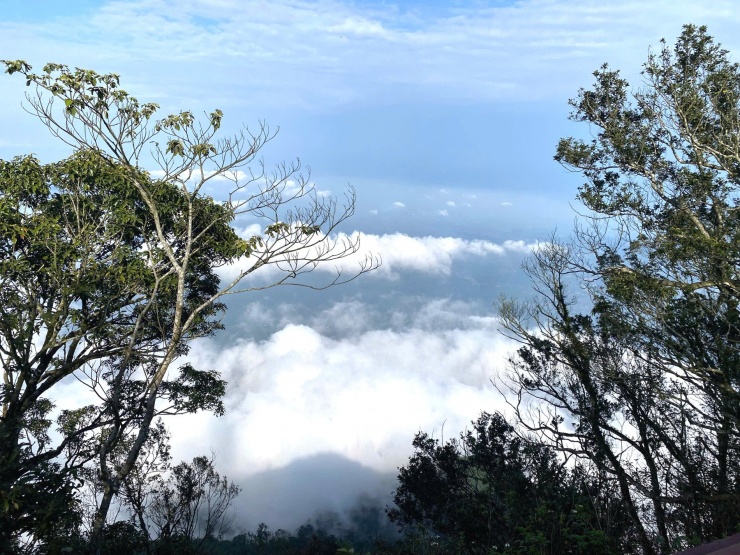 Cô gái Hà Nội săn mây thành công ở Vườn Quốc gia Ba Vì dù khi lên đến nơi đã là giữa trưa. Ảnh: Nguyễn Thị Thảo Hương