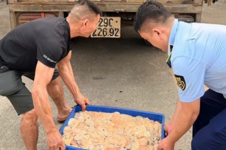 Phát hiện hơn nửa tấn lòng lợn bốc mùi hôi thối đang trên đường tiêu thụ