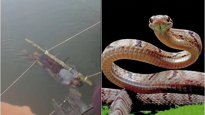 Cậu bé bị rắn cắn nhưng không được cứu chữa mà lại đem ra ngâm trong dòng sông Hằng.