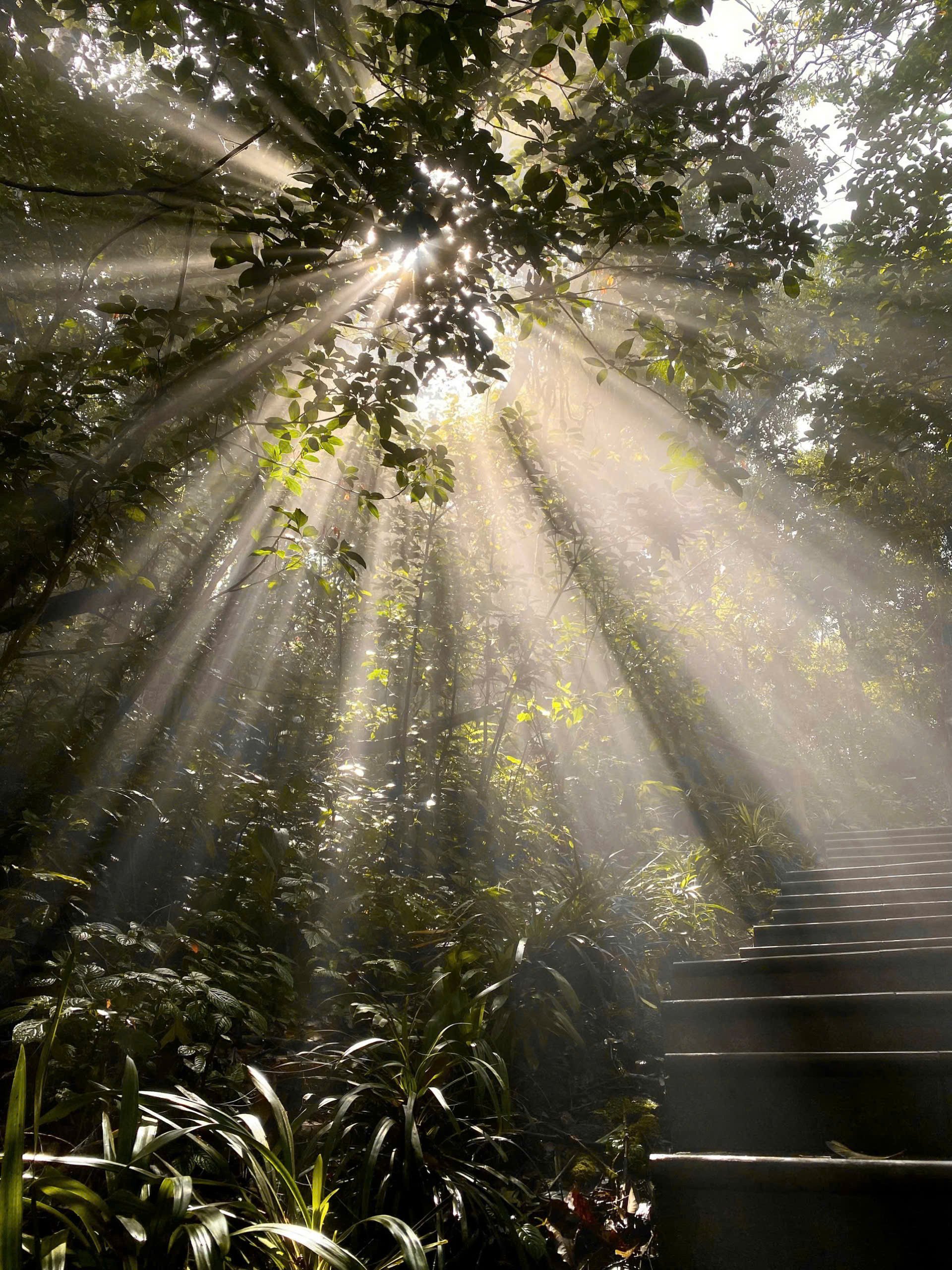 Địa điểm cách Hà Nội 60km có thể săn mây cả ngày, khách đến 4 lần chưa chán - 4