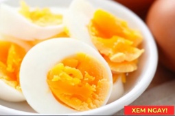 Tin tức sức khỏe - Bị đau xương khớp nên ăn lòng đỏ hay lòng trắng trứng gà? Nhiều người chọn sai bấy lâu nay!
