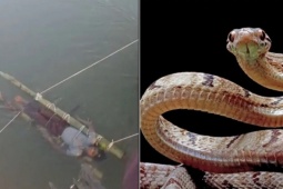 Cậu bé bị gia đình dìm nước sông 12 tiếng để chữa rắn cắn, chết thương tâm