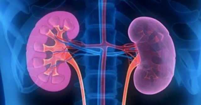 Nắng nóng, 6 việc người Việt nên làm để phòng ngừa nguy cơ suy thận và bệnh lý đường tiết niệu