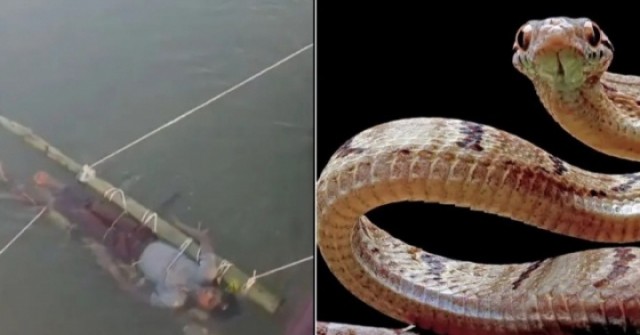 Cậu bé bị gia đình dìm nước sông 12 tiếng để chữa rắn cắn, chết thương tâm