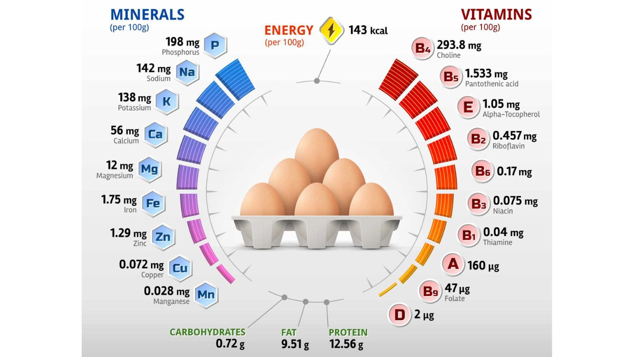 Ảnh: Tham khảo hàm lượng vitamin và các khoáng chất trong trứng gà