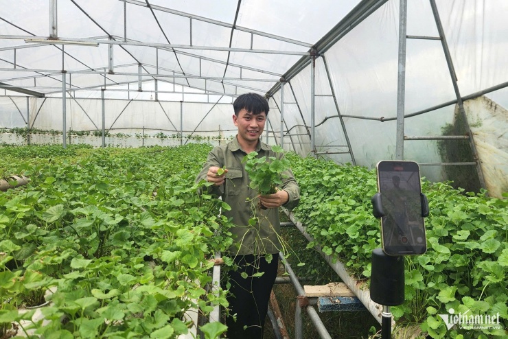 Thời gian rảnh, chủ trang trại thường làm clip để quảng bá sản phẩm trên nền tảng mạng xã hội.