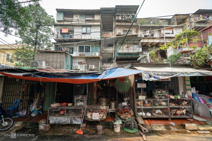 Hiện trạng Khu tập thể Thanh Xuân Bắc được đề xuất cải tạo - 2