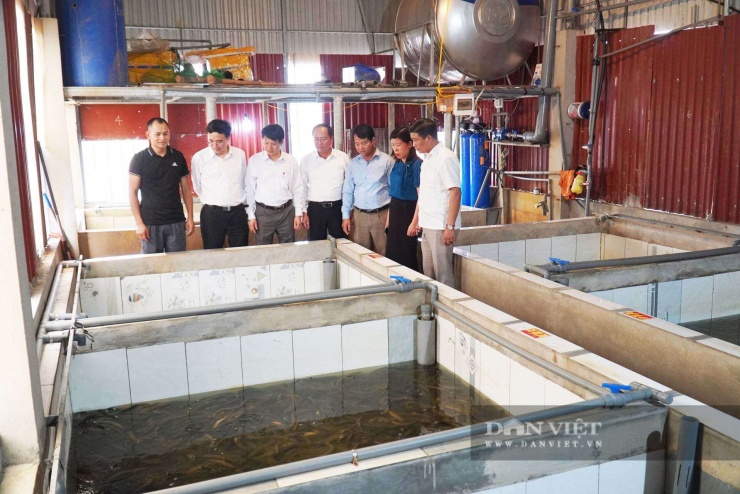 Trên diện tích khoảng 74m² tầng thượng, anh Trần Anh Duy (tổ dân phố Thống Thượng, phường Nhân Hoà, tỉnh Bắc Ninh) xây dựng 8 bể nuôi lươn không bùn, mỗi bể khoảng 4m².&nbsp;Ảnh: Khương Lực