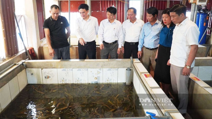 Trực tiếp đến thăm mô hình nuôi lươn trên tầng thượng của ngôi nhà, ông Đặng Văn Tuấn (đứng thứ hai từ trái qua) - Bí thư Đảng ủy phường Nhân Hoà, tỉnh Bắc Ninh đánh giá cao tinh thần năng động, sáng tạo, dám nghĩ dám làm của anh Trần Anh Duy, đồng thời giao UBND phường rà soát các cơ chế, chính sách hỗ trợ nhằm tạo điều kiện thuận lợi cho người dân, chủ trang trại, HTX phát triển các mô hình kinh tế hiệu quả. Ảnh: Khương Lực