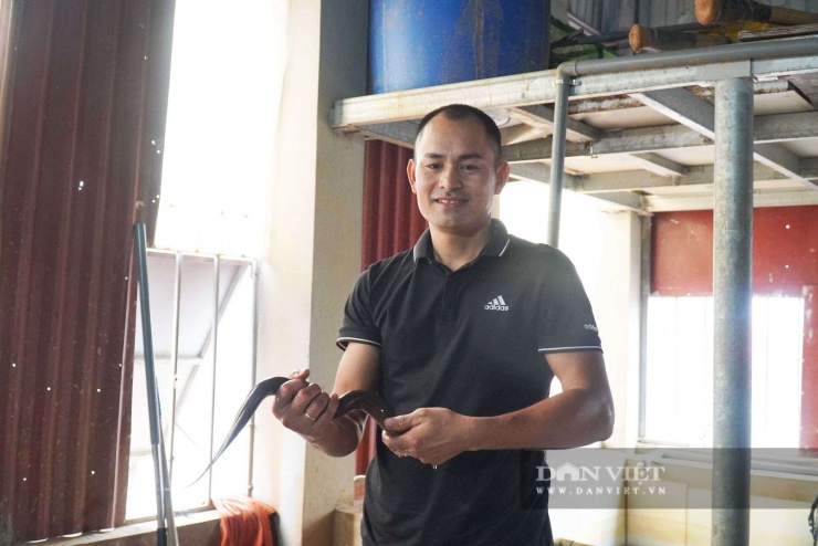 Anh Duy đang gây nuôi đàn lươn bố mẹ và khu sinh sản riêng, tạo môi trường gần tự nhiên để lươn sinh trưởng.&nbsp;Ảnh: Khương Lực