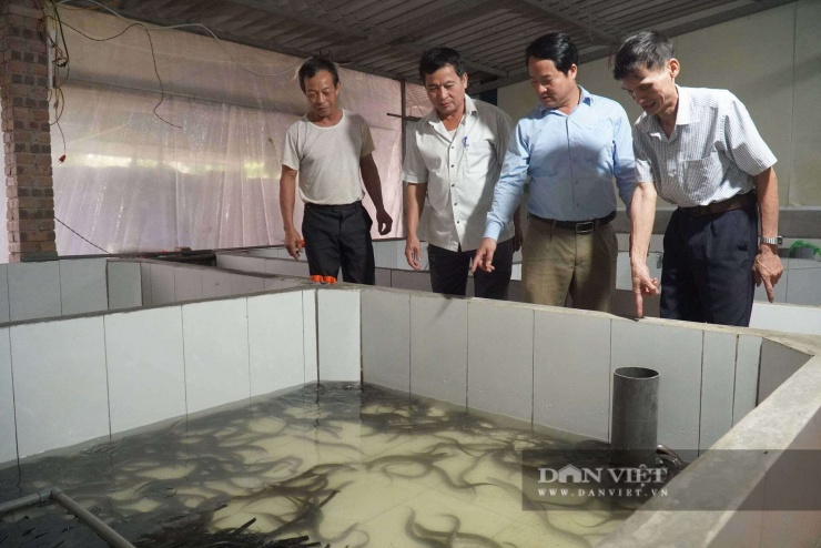 Mô hình nuôi lươn của gia đình ông&nbsp;Vũ Xuân Long (phường Nhân Hoà, tỉnh Bắc Ninh). Ảnh: Khương Lực