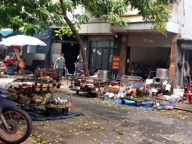 Giá gia cầm không những không giảm mà còn có xu hướng tăng nhẹ. Ảnh: Quỳnh Mai.