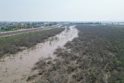 Cảnh tượng bất thường ven biển Hà Tĩnh, chưa tìm ra nguyên nhân