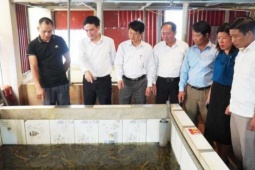 Nuôi cả vạn con đặc sản ham nghịch nước trên tầng thượng, một người Bắc Ninh từng bị coi là “điên” nay là nhà giàu