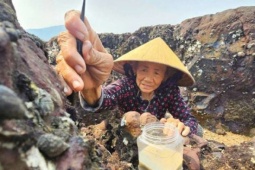 Ra bãi đá này ở Nghệ An, người ta cạy đá bắt loài hải sản bổ dưỡng, khách tranh nhau mua