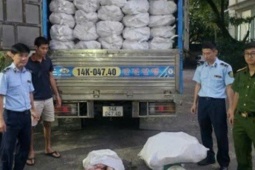 Ngăn chặn hơn 12 tấn chân lợn đông lạnh bốc mùi hôi ra thị trường