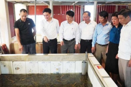 Nuôi cả vạn con đặc sản ham nghịch nước trên tầng thượng, một người Bắc Ninh từng bị coi là “điên” nay là nhà giàu