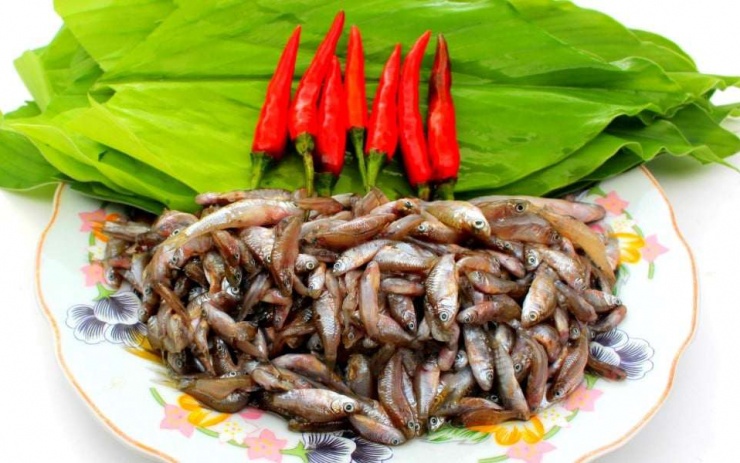 Những ngày mưa lâm râm cuối mùa cũng là lúc từng đàn cá rầm nhỏ bé men theo các vũng nước ven bờ để tìm đường trở về nguồn. Thời điểm cá rầm xuất hiện cũng là lúc người dân quê rủ nhau đi “kéo tủ”. Ảnh: Tiên Sa.