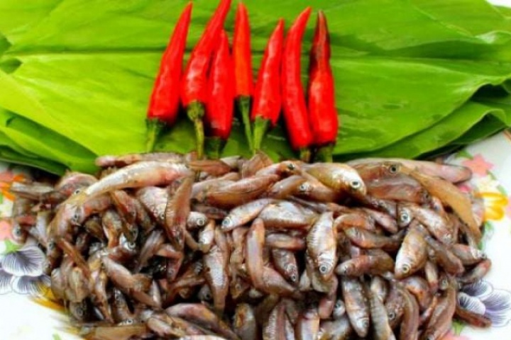 Loại cá "nhà nghèo" nhỏ bằng đầu đũa, xưa ra đồng bắt về ăn, giá rẻ bèo, nay thành đặc sản ngon và hiếm 400.000 đồng/kg