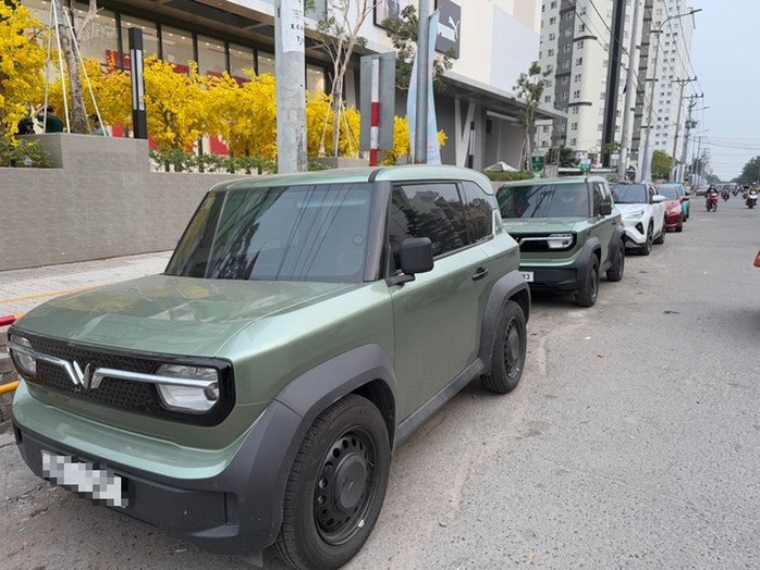 Bộ Tài chính đề xuất gia hạn thuế suất thuế tiêu thụ đặc biệt với xe điện. Ảnh: N.Hải