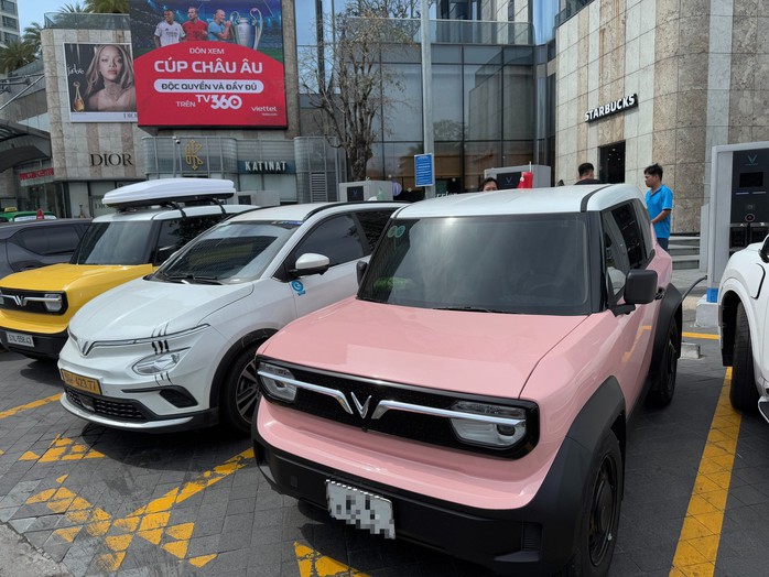 Đề xuất miễn lệ phí trước bạ ô tô điện đến hết năm 2030. Ảnh: N.Hải