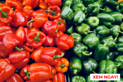 Tin tức sức khỏe - Ớt chuông xanh hay đỏ tốt hơn cho hô hấp? Nhiều người bị đàm ho khó thở chọn sai mà không biết!