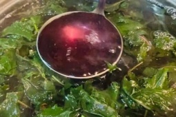 Loại rau được ví “lá hồi sinh” chỉ 1–2k/mớ cực nhiều ở nước ta, ngày hè đem làm nước giải nhiệt cực tốt