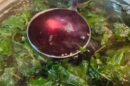 Loại rau được ví “lá hồi sinh” chỉ 1–2k/mớ cực nhiều ở nước ta, ngày hè đem làm nước giải nhiệt cực tốt