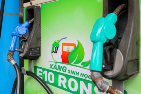 Doanh nghiệp đã sẵn sàng bán xăng E10 sớm