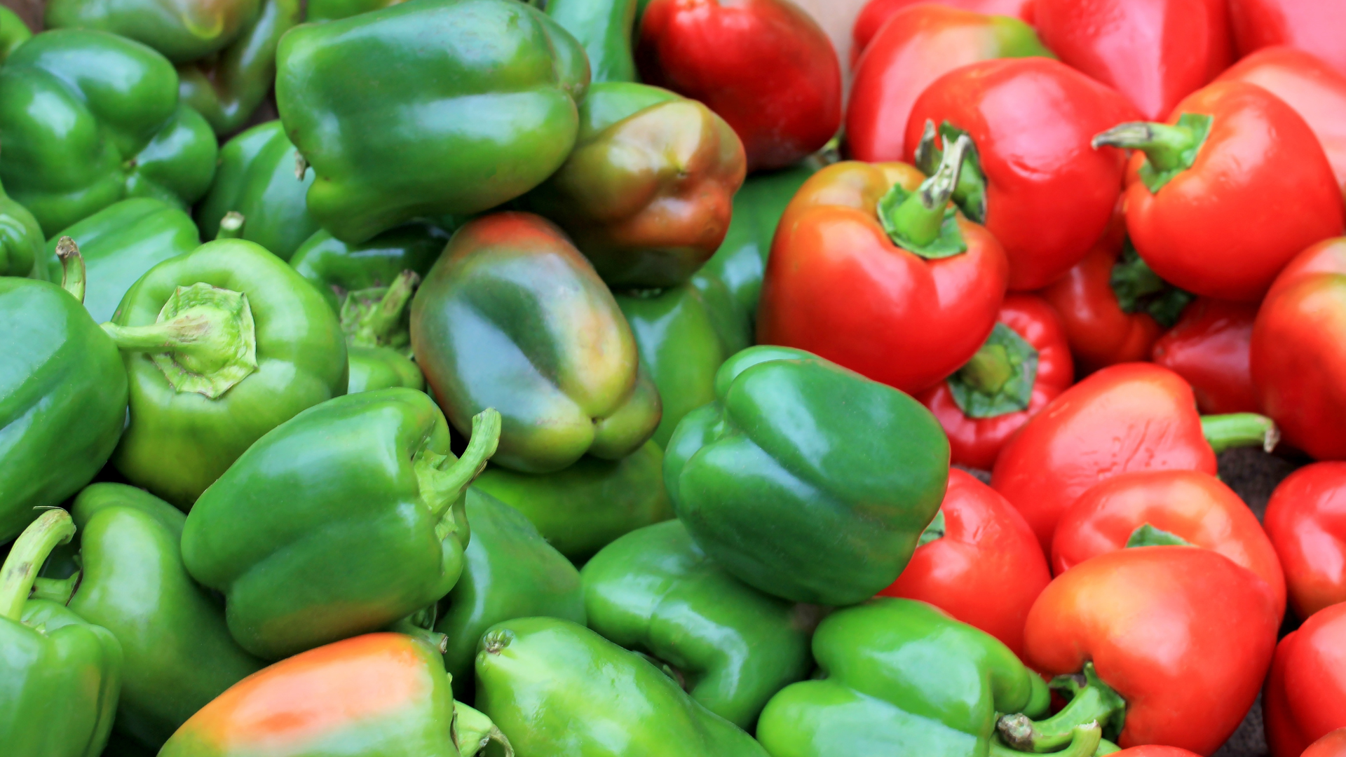 Ớt chuông xanh hay đỏ tốt hơn cho hô hấp? Nhiều người bị đàm ho khó thở chọn sai mà không biết! - 1