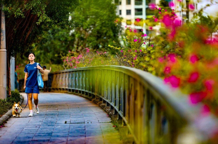 Thời tiết hôm nay 14/4: Từ Thanh Hóa đến Huế nắng nóng gay gắt, có nơi trên 40 độ - 16