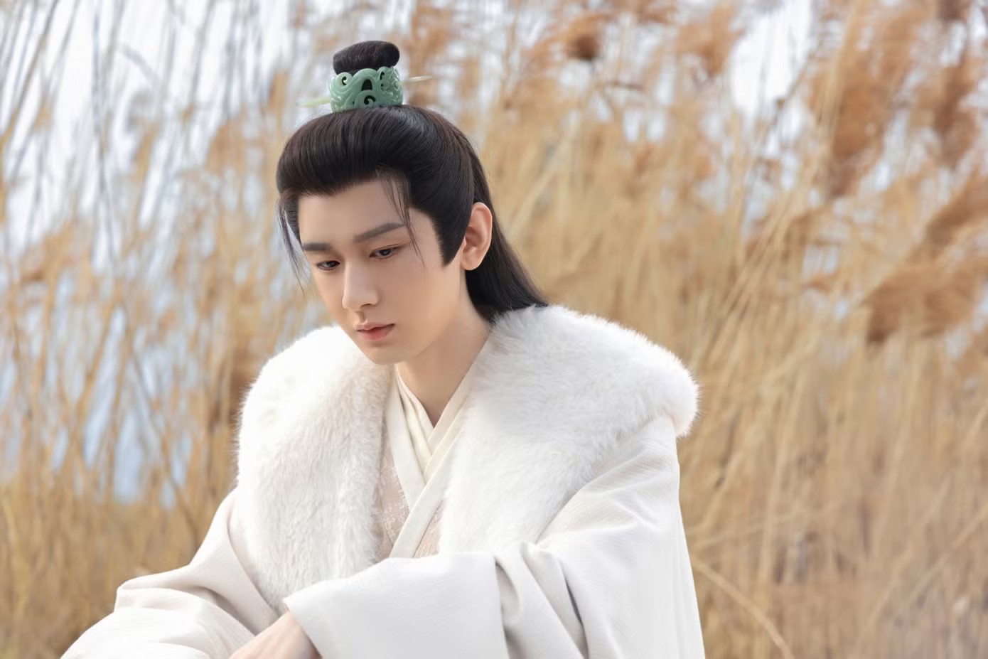 Tạo hình cổ trang của Thành Nghị bị chê một màu, diễn xuất thiếu đột phá.